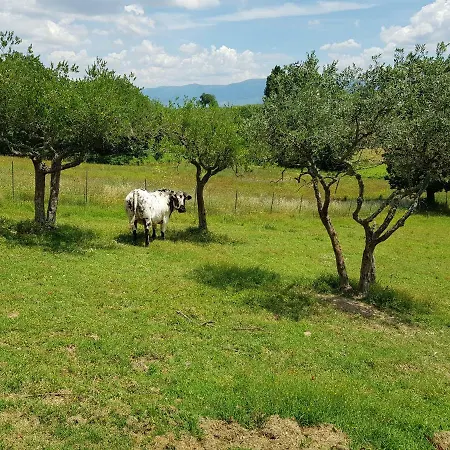 Çiftlik konaklama Arcobaleno Della Torretta
